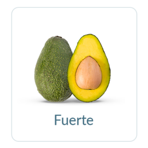 Fuerte