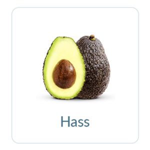 Hass