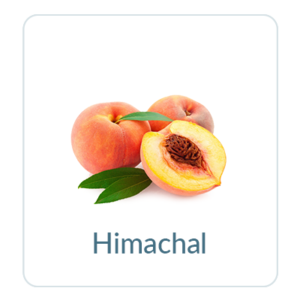 Himachal