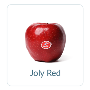 Joly Red