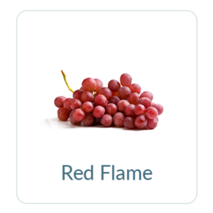 Red Flame