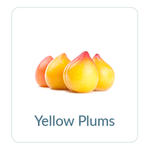 Yellow Plums