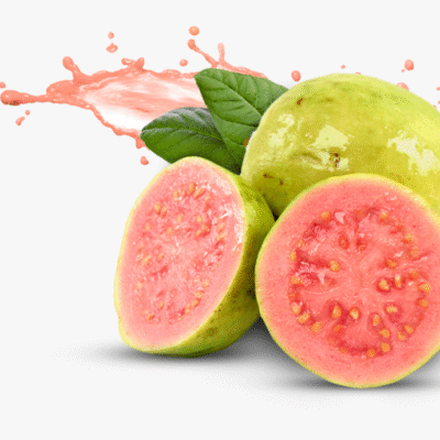 Fresh Organic Guava Fruits