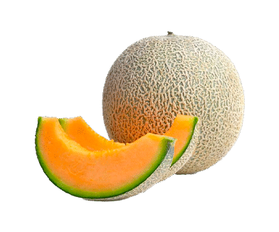 Organic and Fresh Sweet Melon