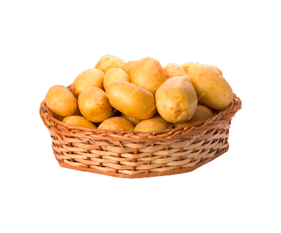 Premium and Fresh Potatoes